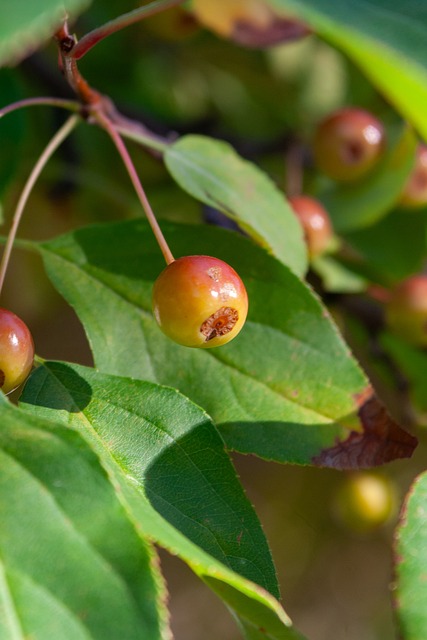 施洛特贝克批队友：大家各自为战，替补登场的球员还一直丢球
