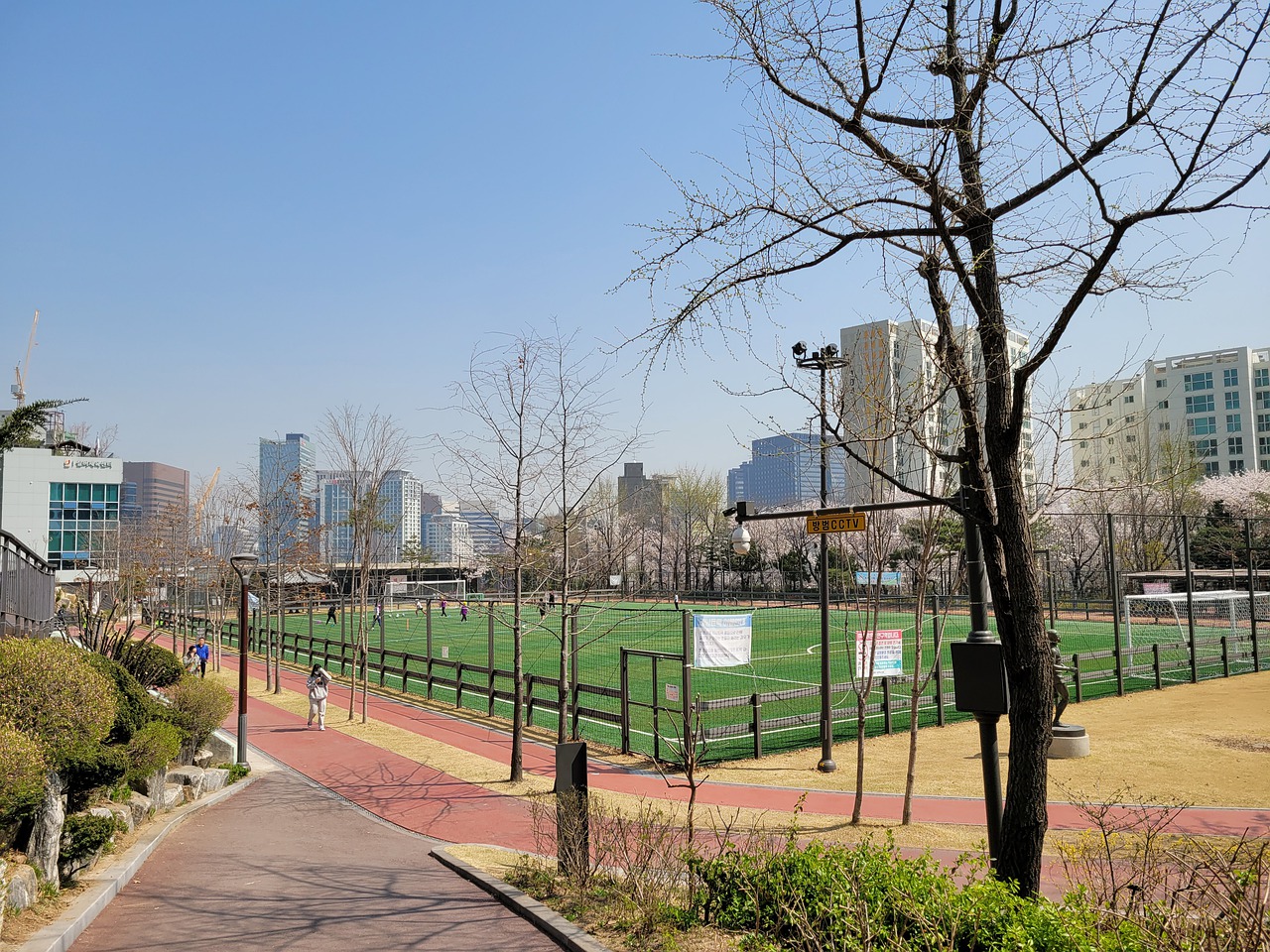 不僅展現了 不僅展現了