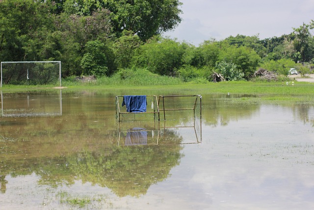 令人不禁回 令人不禁回