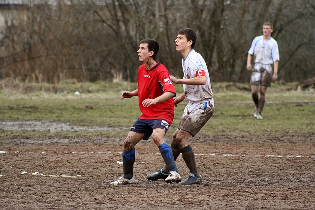 总体来看 总体来看