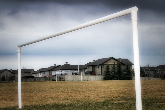 与之类似 与之类似